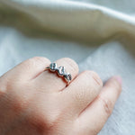 Coffee Beans Ring Model
