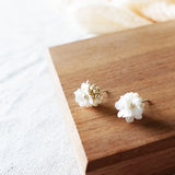 Cyme Petite Stud Earrings in White