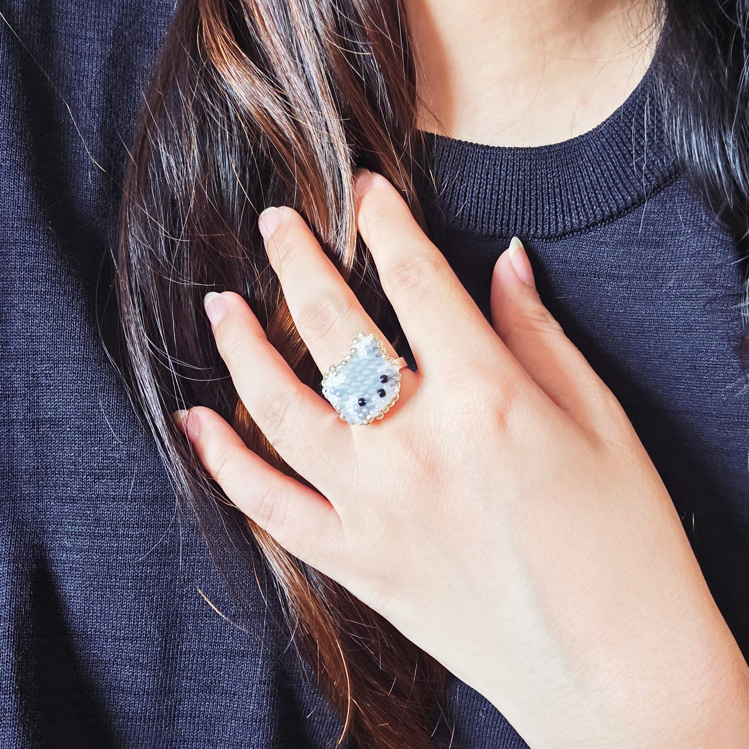Raccoon Ring Model