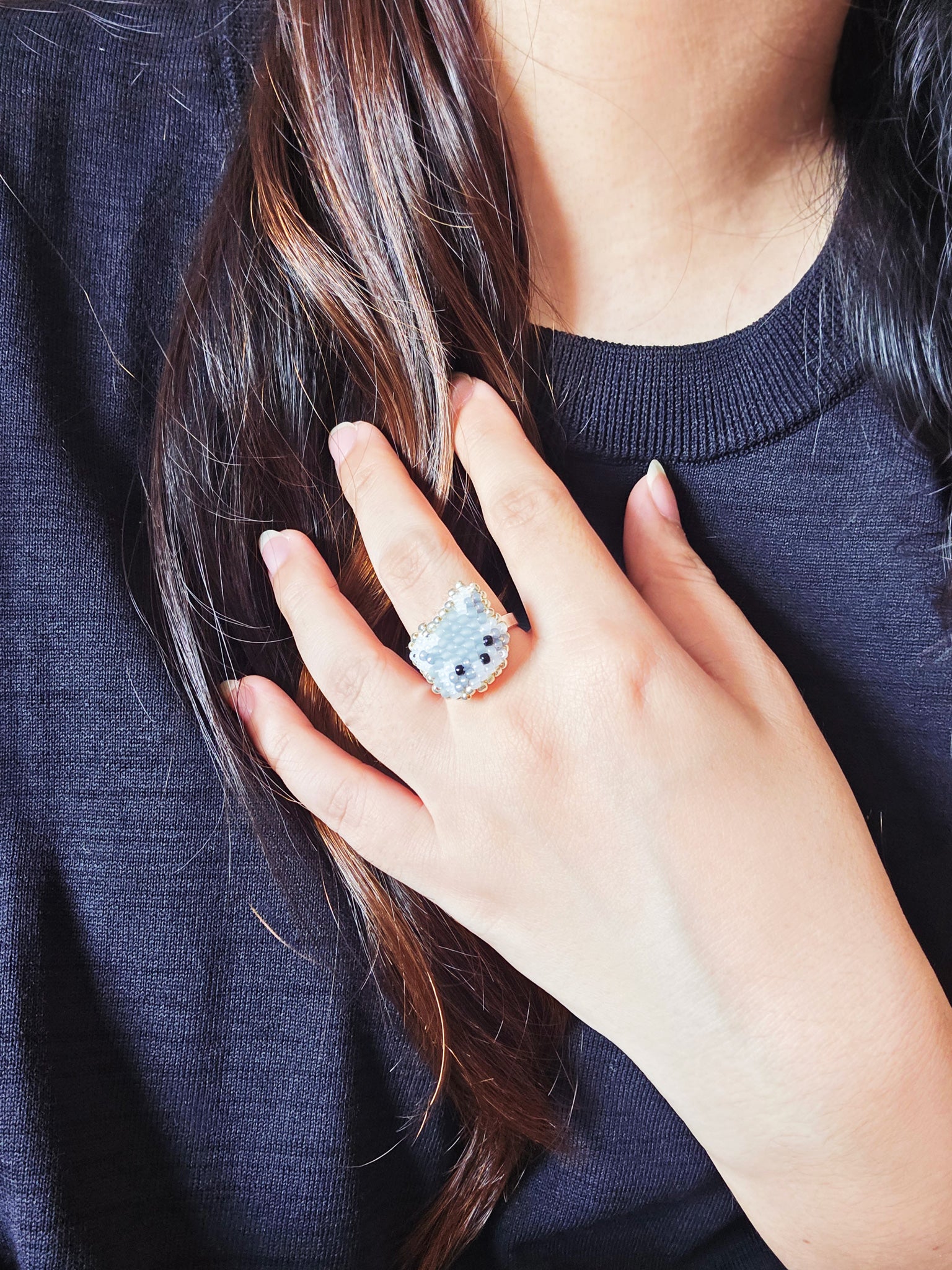 Raccoon Ring Model