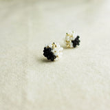 Ariel Kai Stud Earrings in Black Left