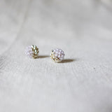 Last Quarter Pixie Stud Earrings