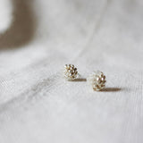 Last Quarter Pixie Stud Earrings