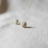 Last Quarter Pixie Stud Earrings