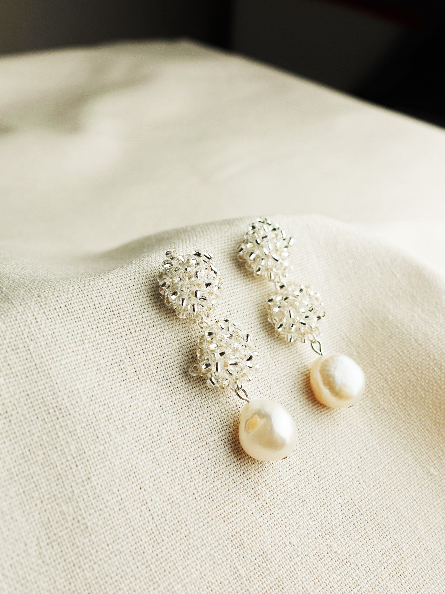 Richele Earrings in Silver Left