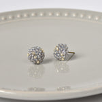 Star Dust Petite Studs in Grey Left