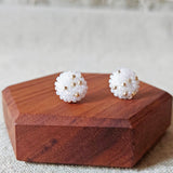 Star Dust Delica Stud Earrings Display