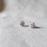Star Dust Pixie Stud Earrings