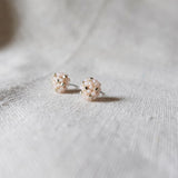 Star Dust Pixie Stud Earrings