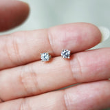 Zircon Stud Earrings in White Hand