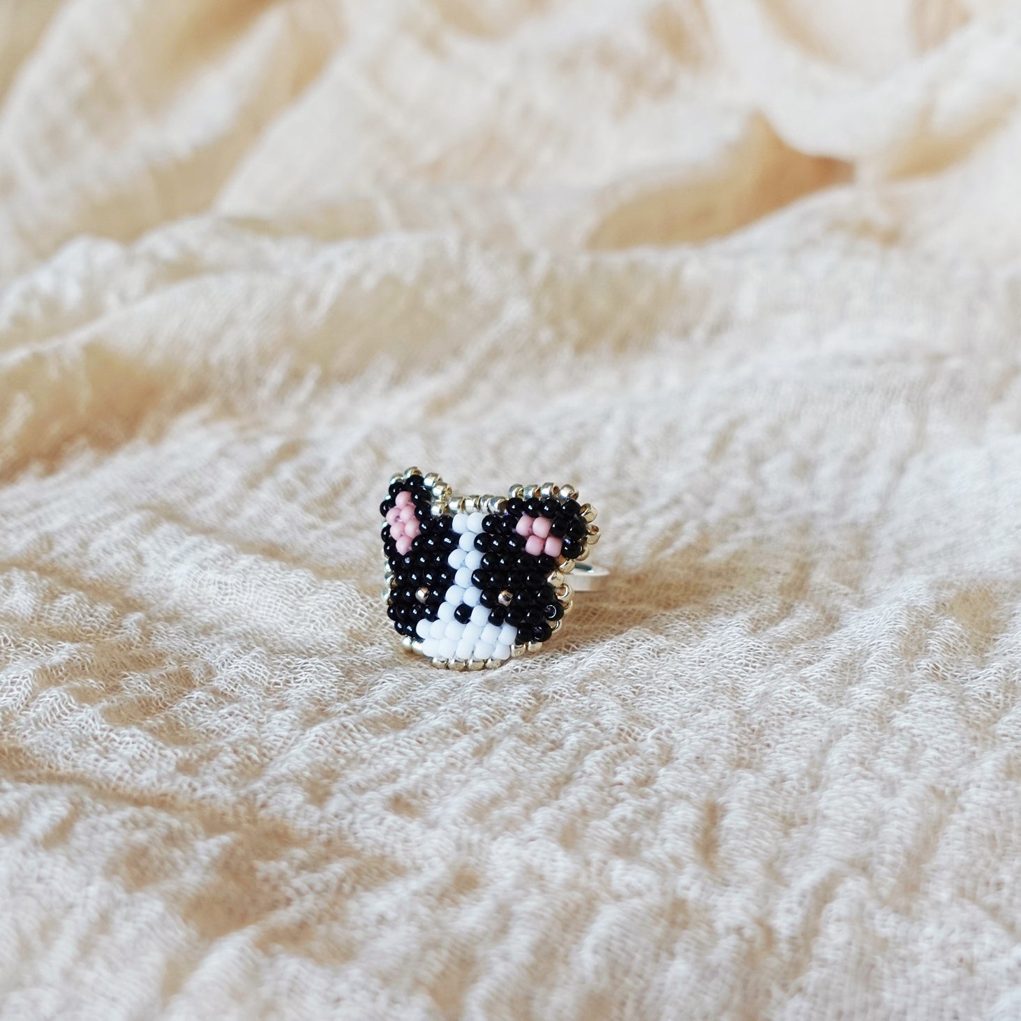 Border Collie Ring Right