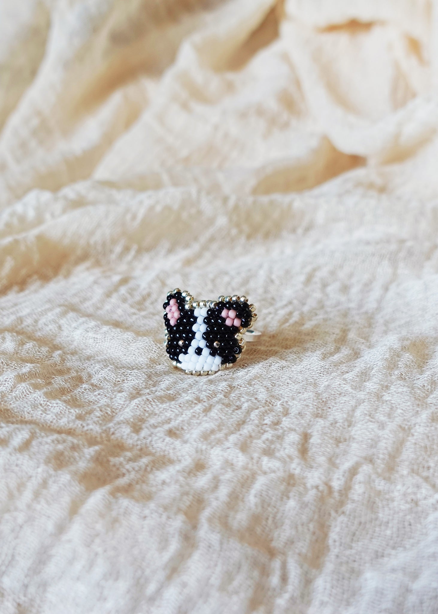 Border Collie Ring Right