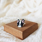 Boston Terrier Ring Display Right