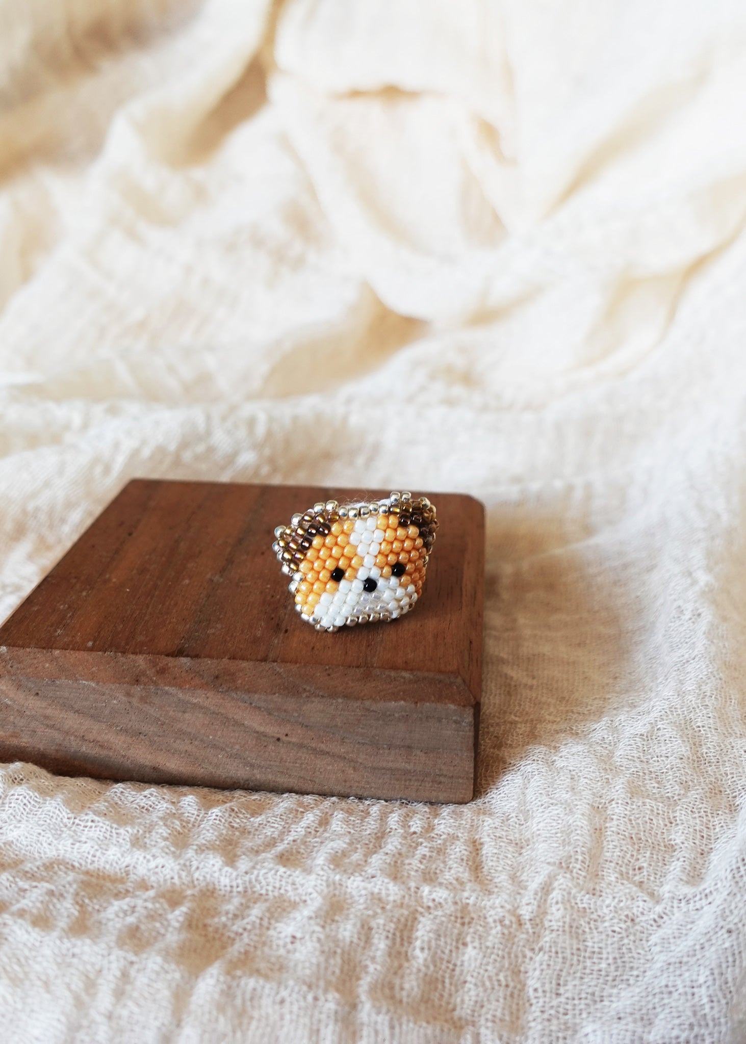Bulldog Ring Display Front