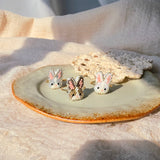 Bunny rings group
