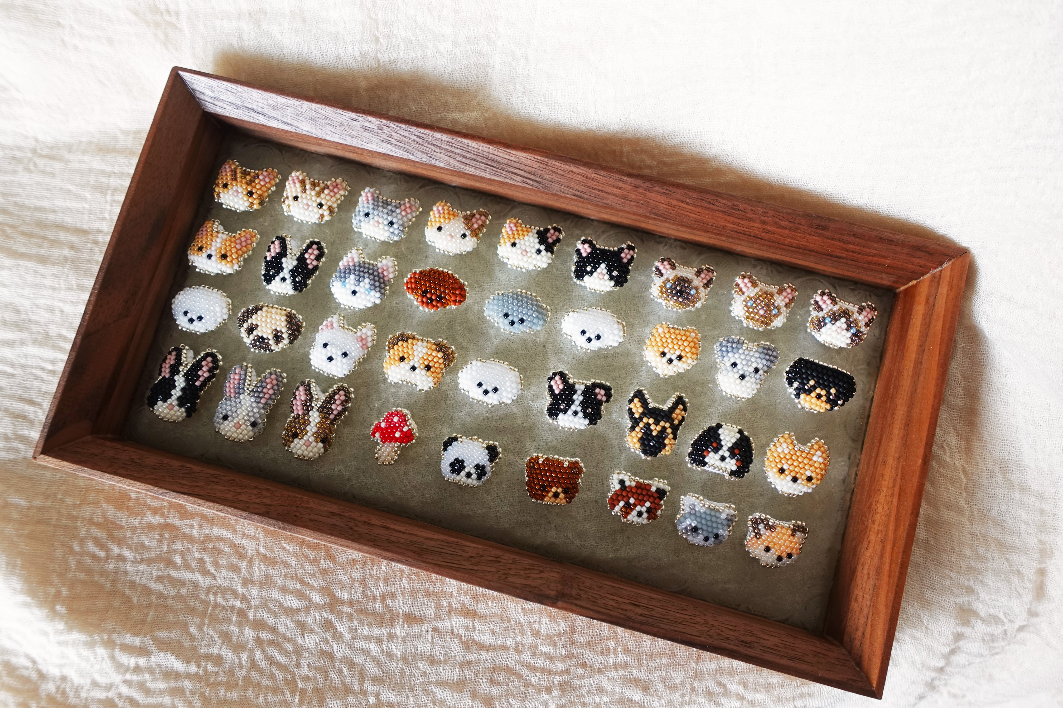 Cats Dogs Bunny Bears Group
