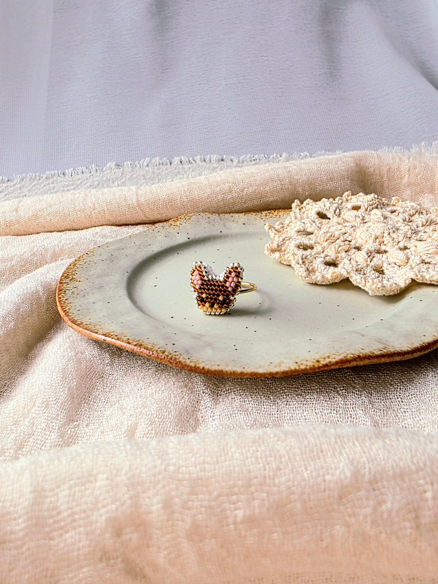 Chihuahua ring front