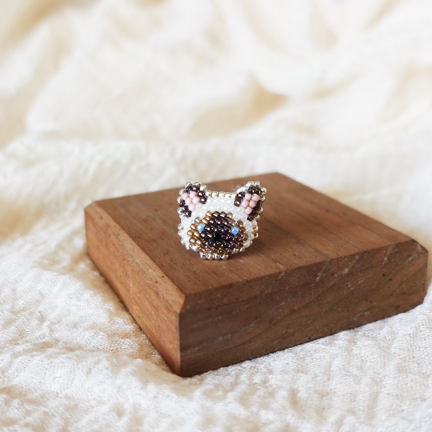 Colorpoint Cat Ring in Seal Display Front