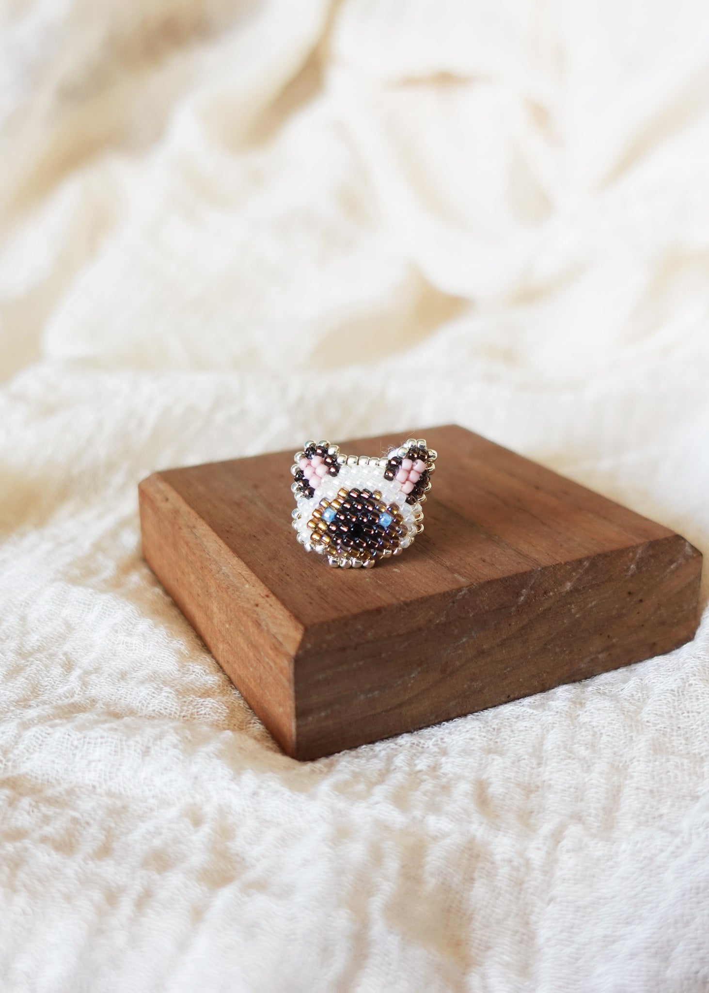 Colorpoint Cat Ring in Seal Display Front