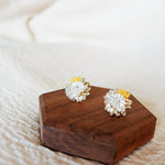 Dianelle Earrings in Orange Right