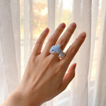 Dolphin ring on model