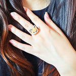 Fox Ring Model
