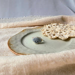 Grey poodle ring front