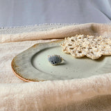 Grey poodle ring front