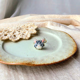 Grey tabby cat ring front