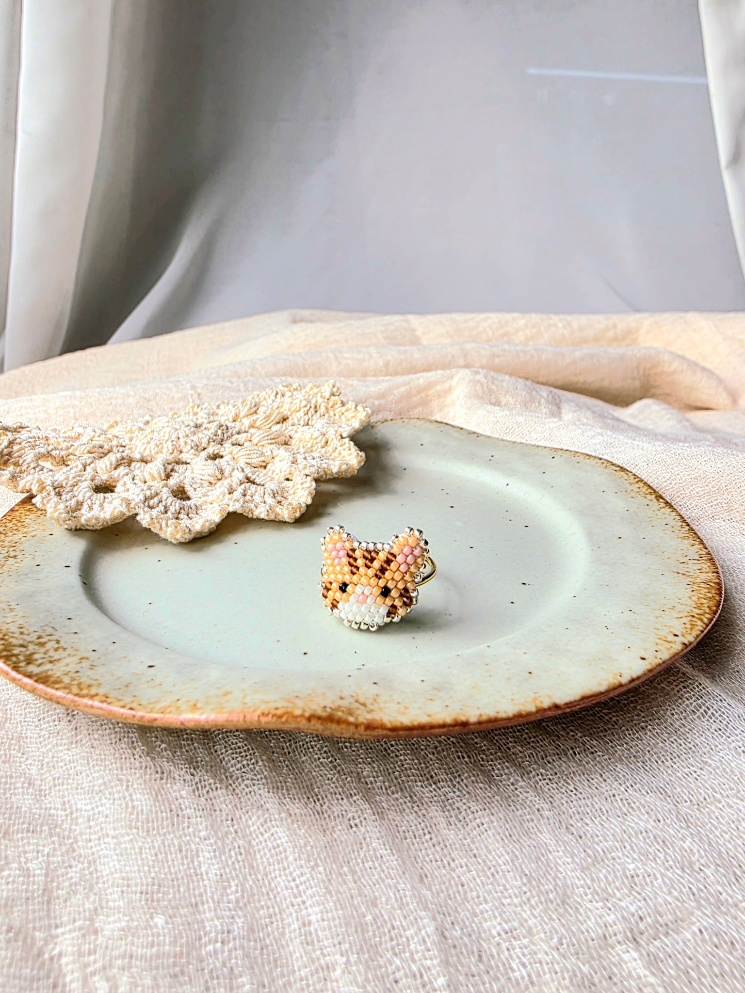 Orange tabby cat ring front
