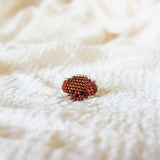 Poodle Ring in Brown Right