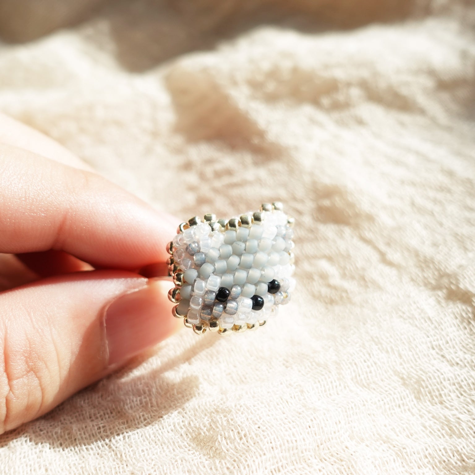 Raccoon Ring Held