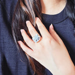 Raccoon Ring Model