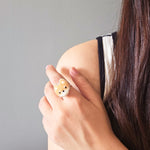 Shiba Inu Ring Model
