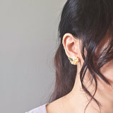 Sunspire Earrings Model