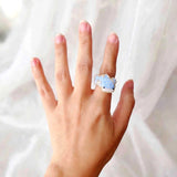 Whale shark ring on model
