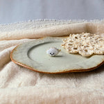 White poodle ring front