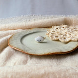 White poodle ring front