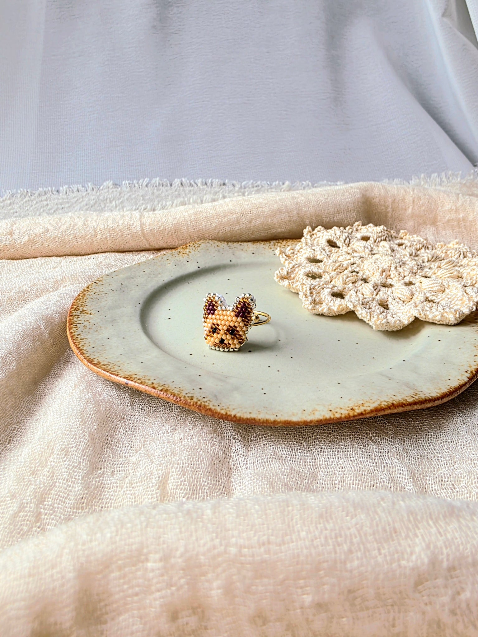 Yorkshire terrier ring right