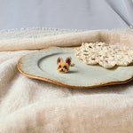 Yorkshire terrier ring right 2