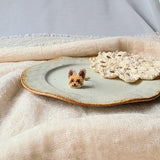 Yorkshire terrier ring right 2