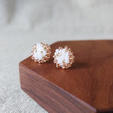 Ariel Rio Stud Earrings in Champagne Pink Display